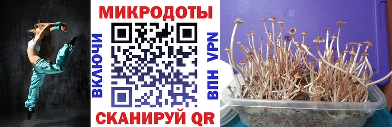 MEGA как войти  Бикин  Псилоцибиновые грибы MAGIC MUSHROOMS  дарнет шоп 